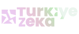 TurkiyeZeka